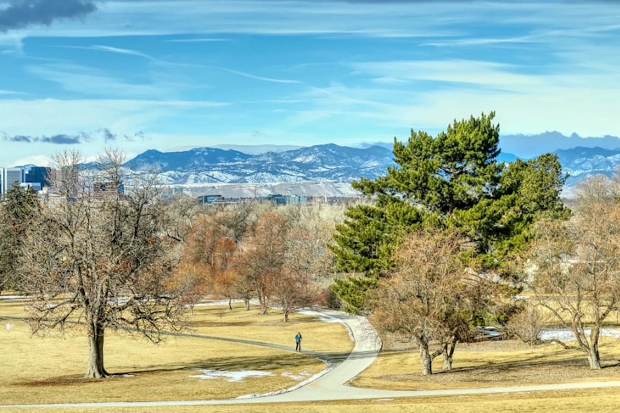 Denver skyline representing the competitive local market for the chiropractor case study