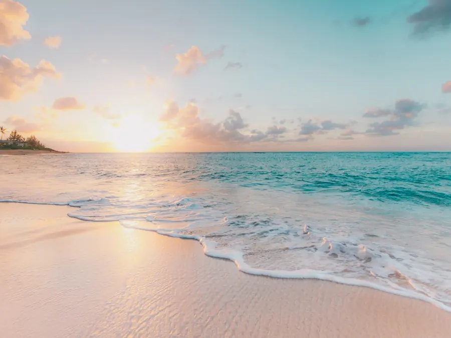 Quiet coastal shoreline under a clear sky